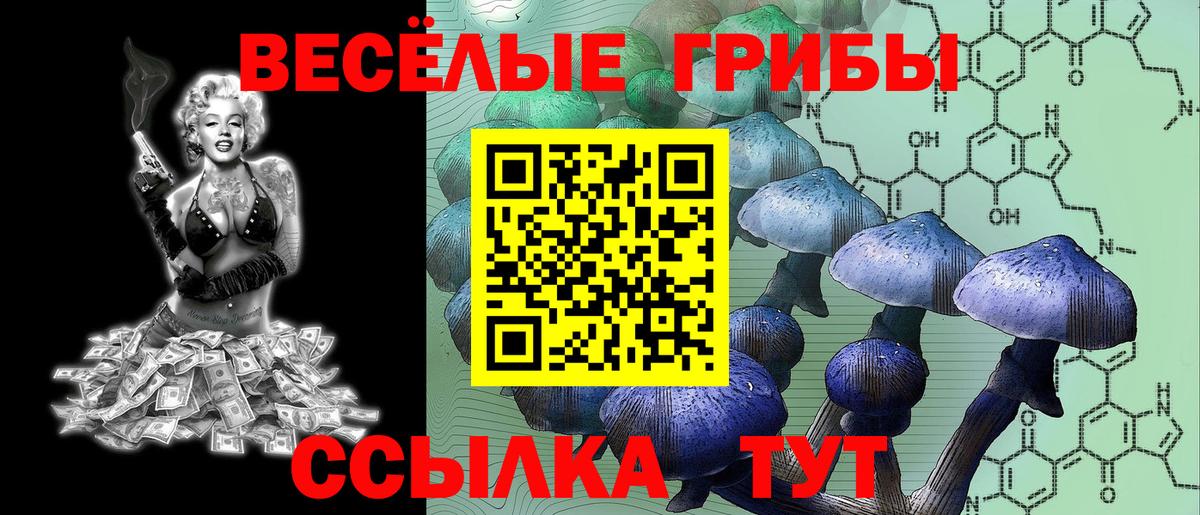 Галлюциногенные грибы мицелий  Вход с VPN  Сочи 