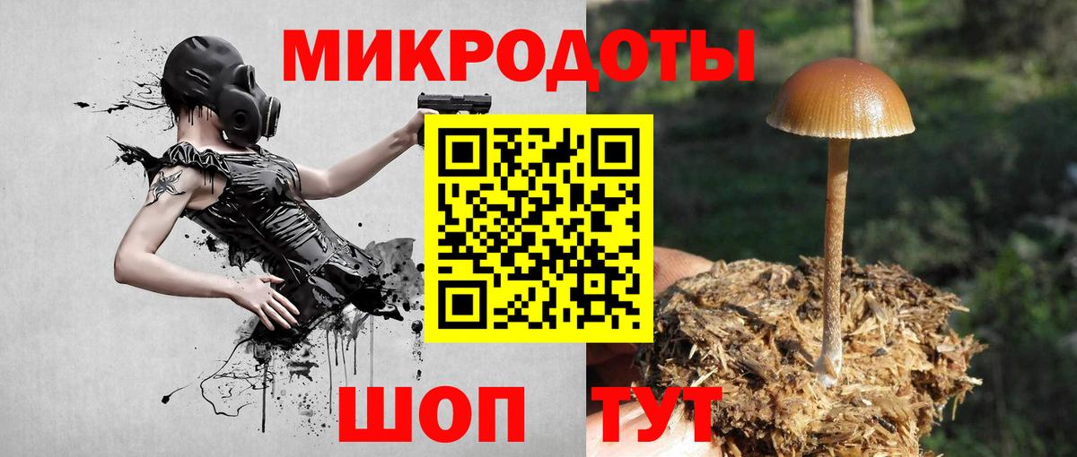 Псилоцибиновые грибы MAGIC MUSHROOMS Сочи